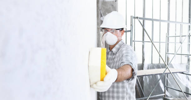 Professional Mold Removal Services in Russell, KY